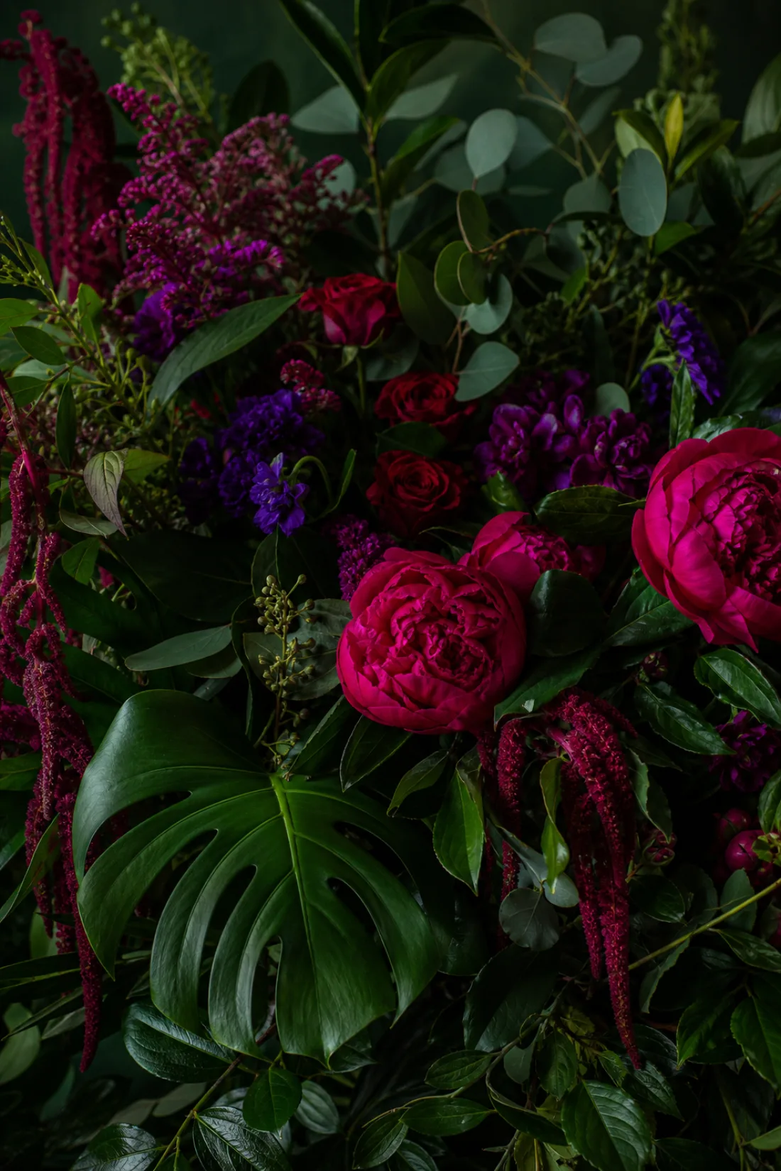 Lush deep green foliage with hot fuchsia blooms breaking through
