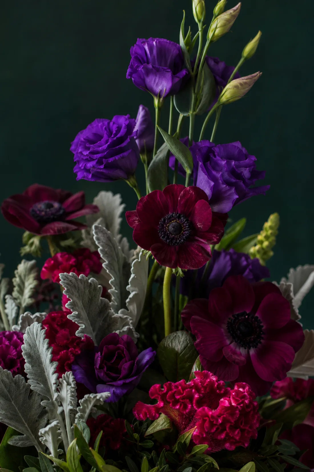 Violet lisianthus and dark anemones with silvery dusty miller